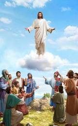 cid:49245bdf-2d89-4886-9453-0b300b201a9d